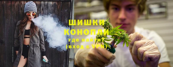 2c-b Каменка
