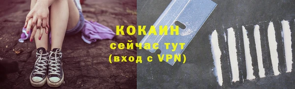 2c-b Каменка