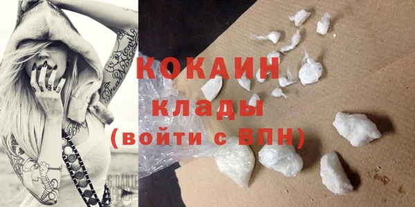 ГАЛЛЮЦИНОГЕННЫЕ ГРИБЫ Карпинск