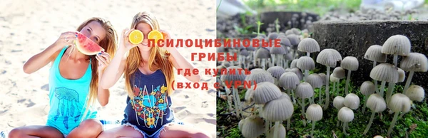 прущая мука Каменск-Шахтинский