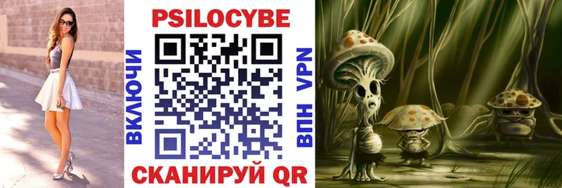 Купить  Гусиноозёрск  Галлюциногенные грибы Psilocybe 